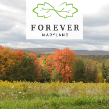 Forever Maryland Foundation