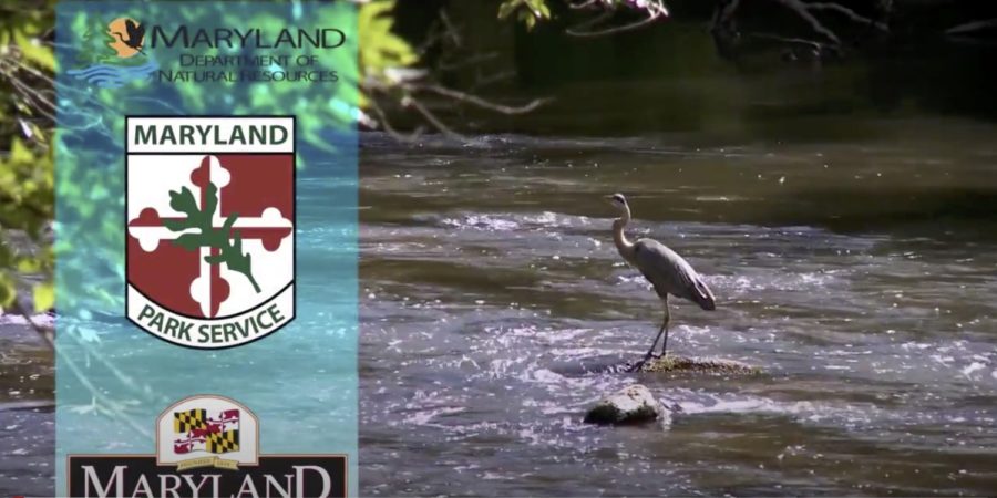 Maryland DNR Recruiting Conservation Corps