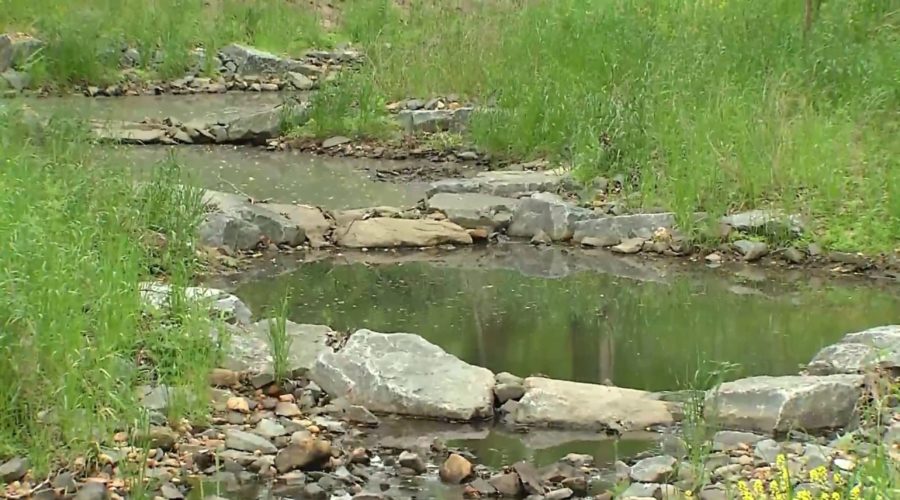Landowners Sought For Catoctin Creek Watershed Restoration