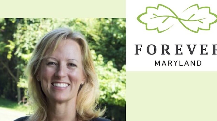 Forever Maryland Appoints Stringfellow President
