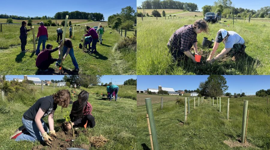 Volunteers Plant 27 Trees in New Windsor to Launch Conservation Project