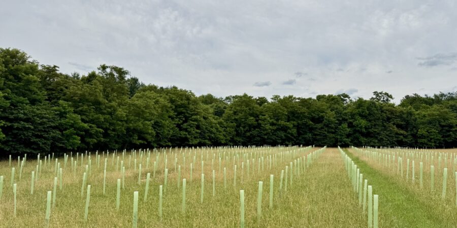 Antietam Watershed Afforestation Program (AWAP): A Successful First Planting Season