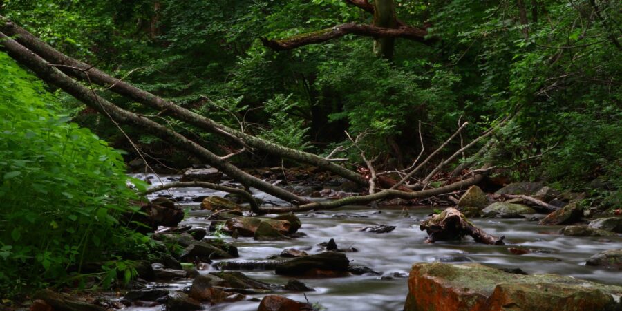 CLT Awarded Funding through DNR’s Chesapeake & Atlantic Coastal Bays Trust Fund