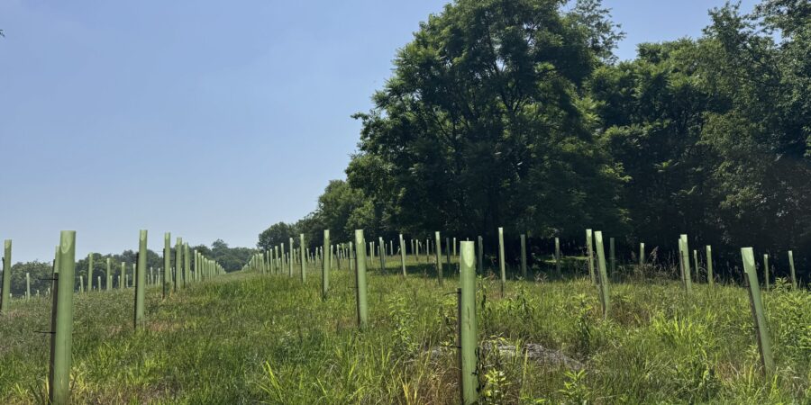CLT and Partners Awarded Funding Through Chesapeake Bay Trust G(3) Grant Program