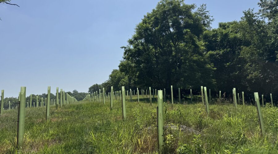 CLT and Partners Awarded Funding Through Chesapeake Bay Trust G(3) Grant Program