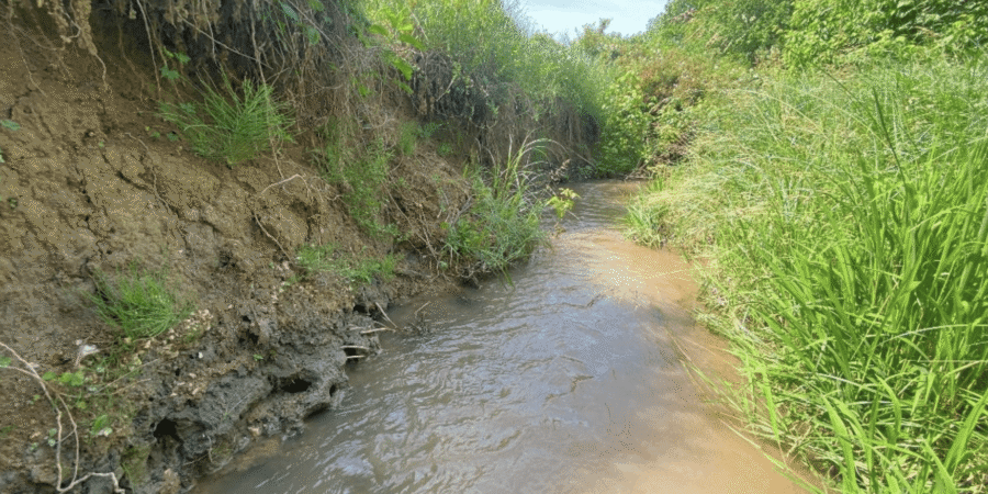 Final Designs Completed for Roop Branch Stream and Floodplain Restoration Project