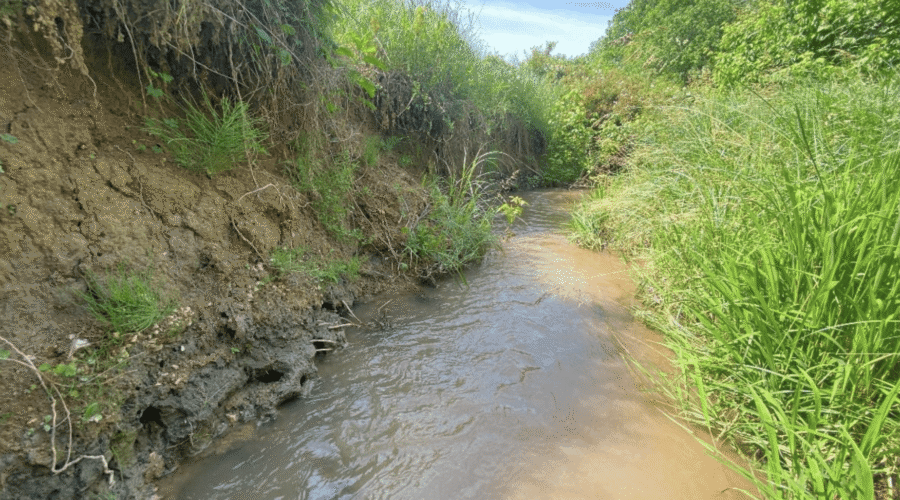 Final Designs Completed for Roop Branch Stream and Floodplain Restoration Project