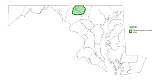 The Monocacy Grasslands Important Bird Area is located in the northern end of Frederick and Carroll counties, illustrated by the area shaded green on this map of Maryland. Image courtesy of Maryland Bird Conservation Partnership.